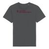Essential Unisex T-Shirt, Rocker STTU758 Miniaturansicht